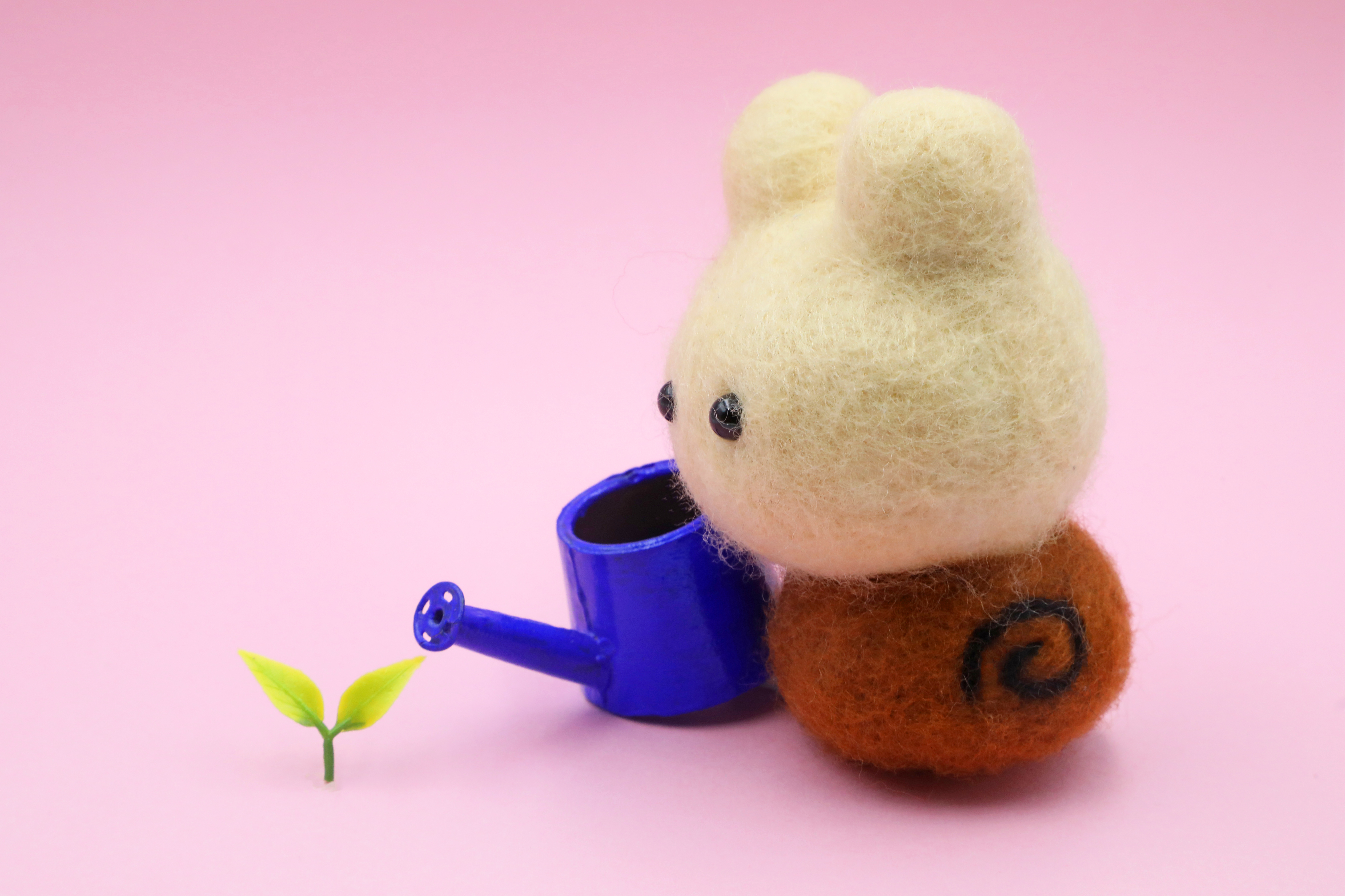 ����肩�������