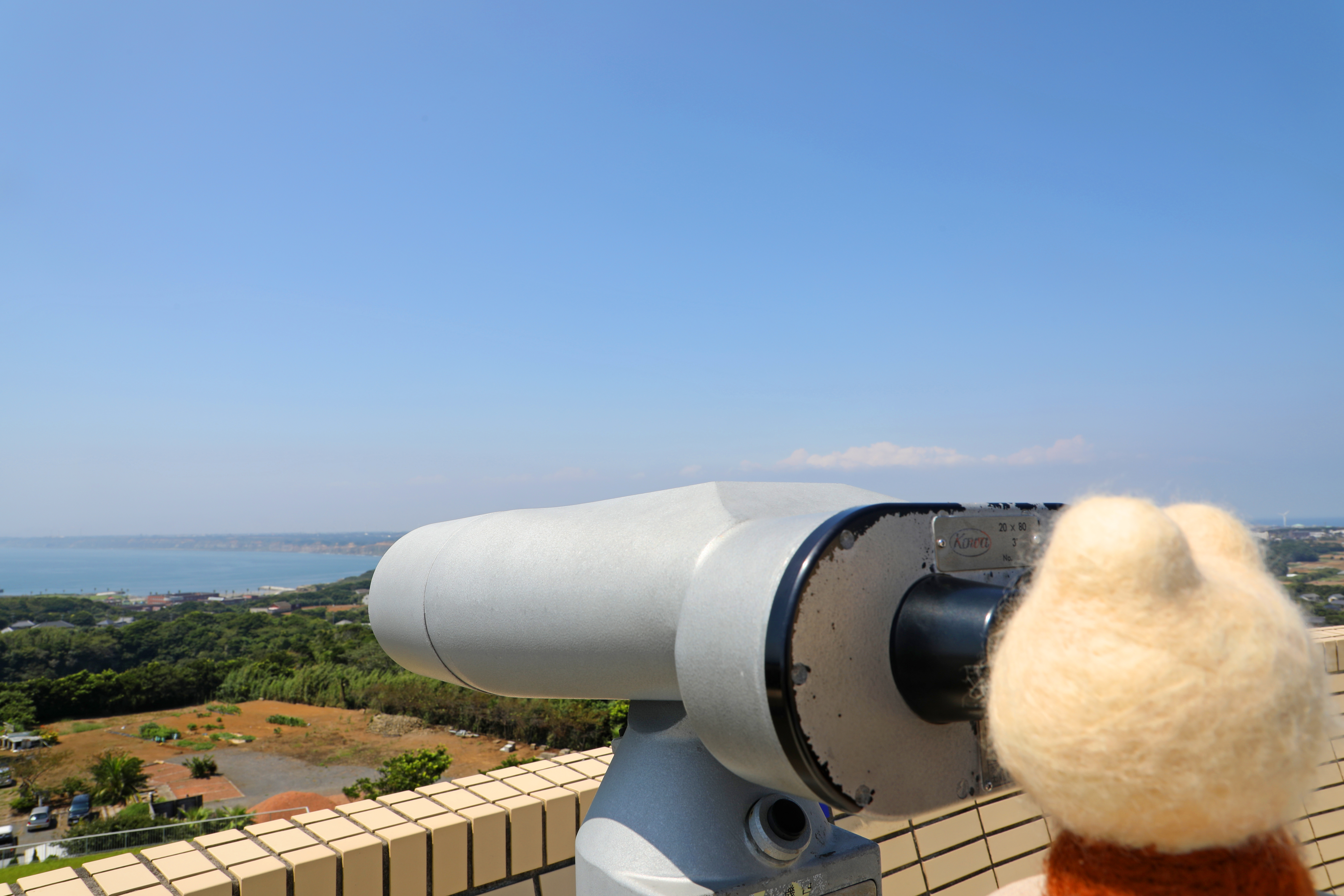 ���q���������