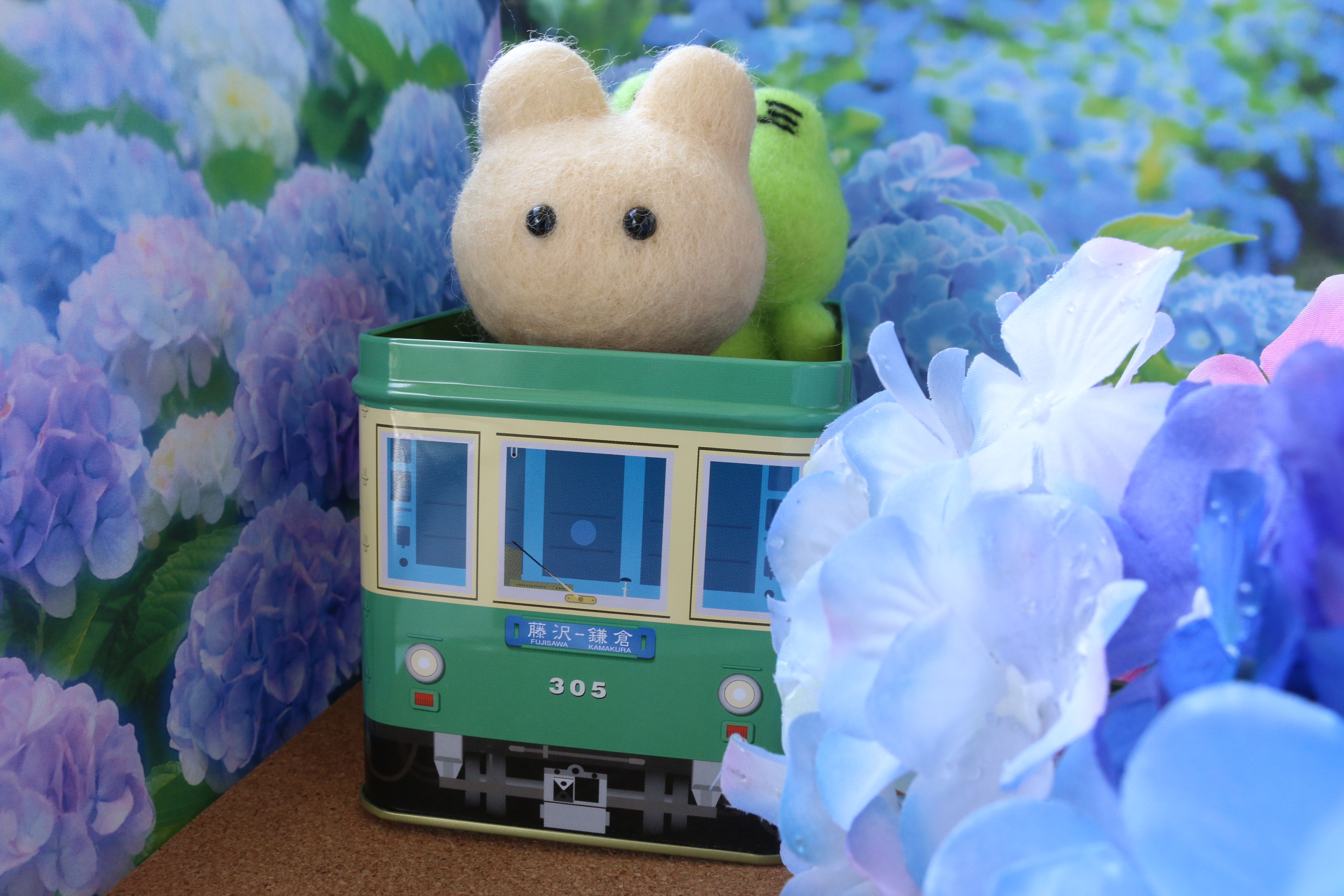 �]�m�d���������