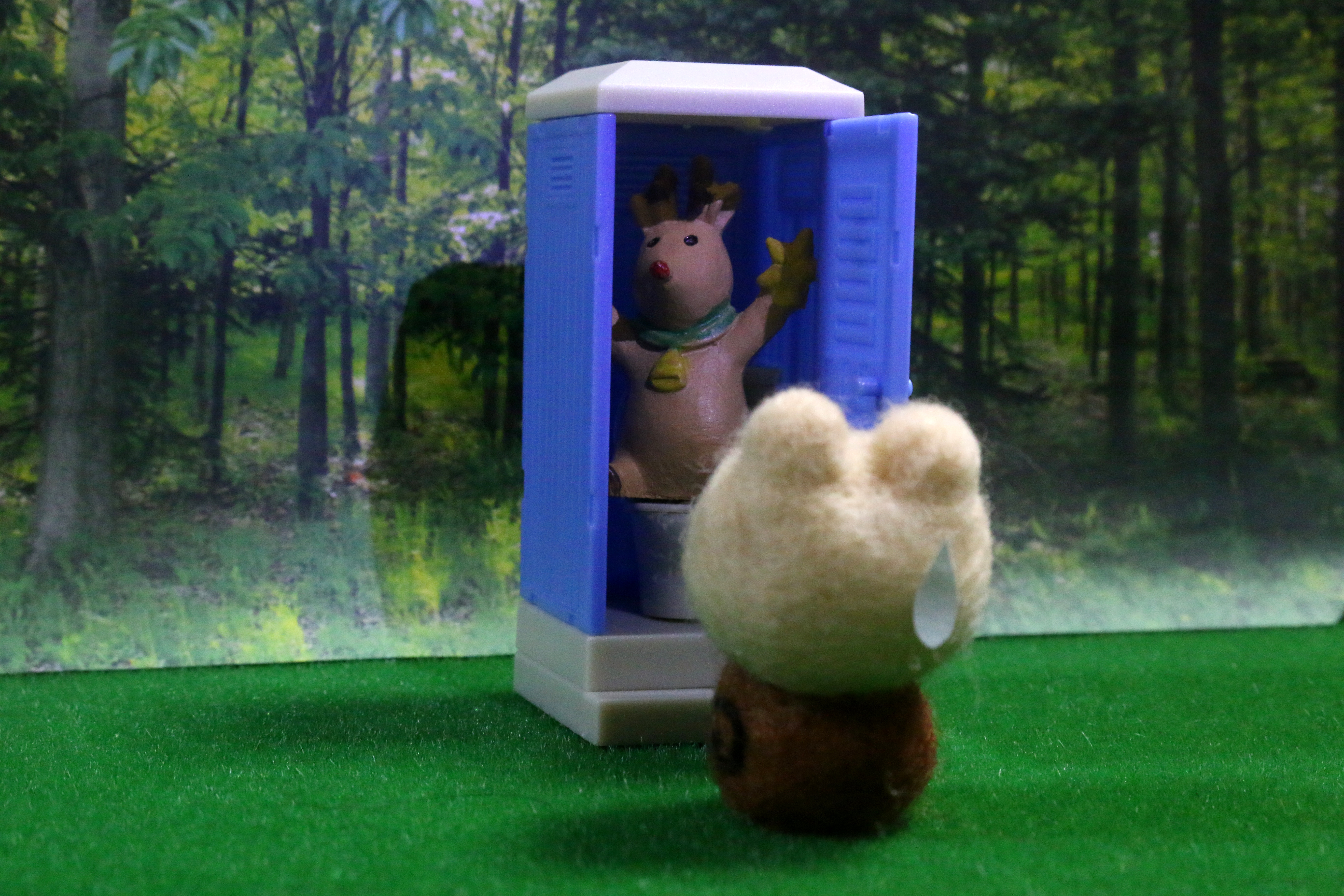 �g�C�����������