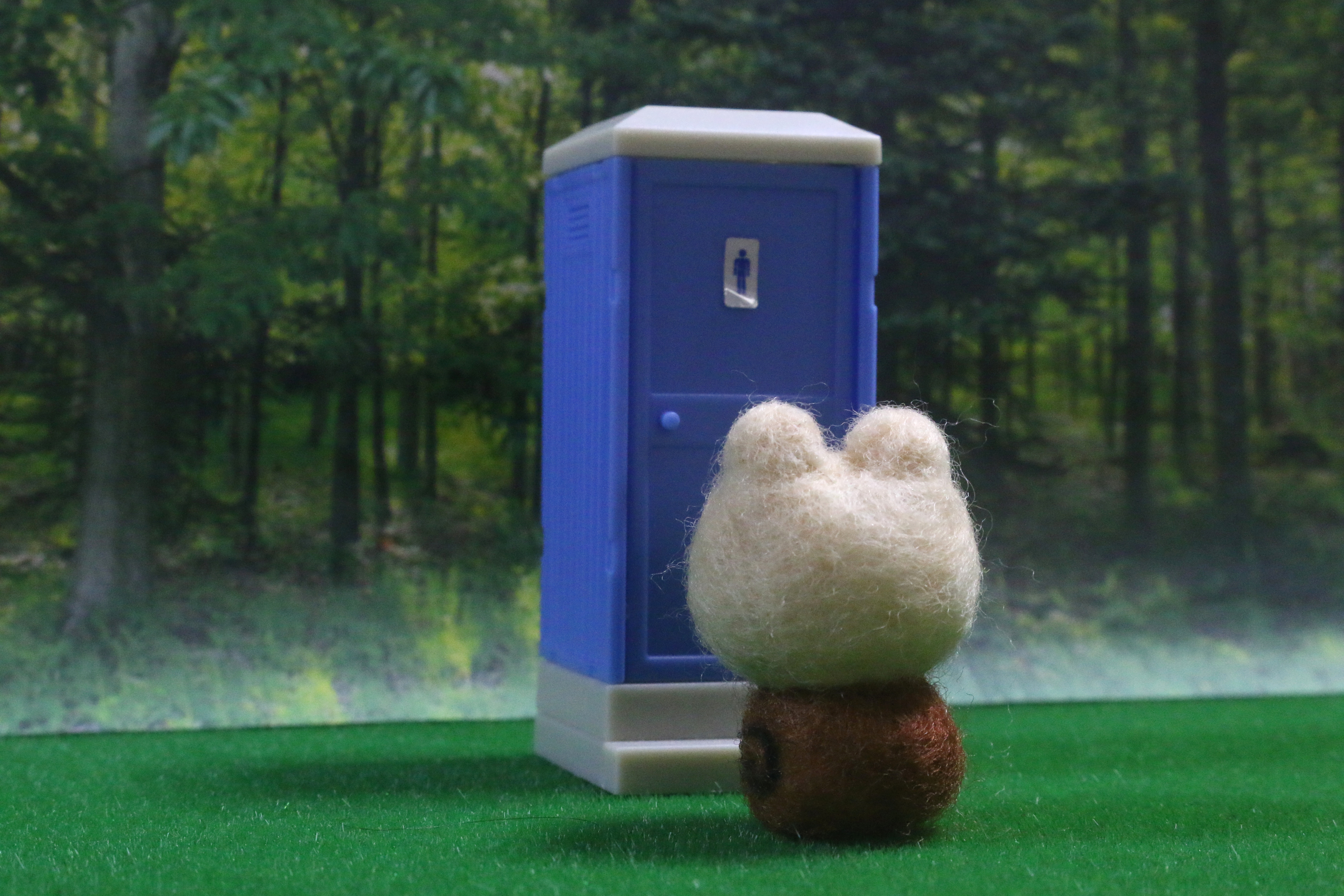 �g�C�����������