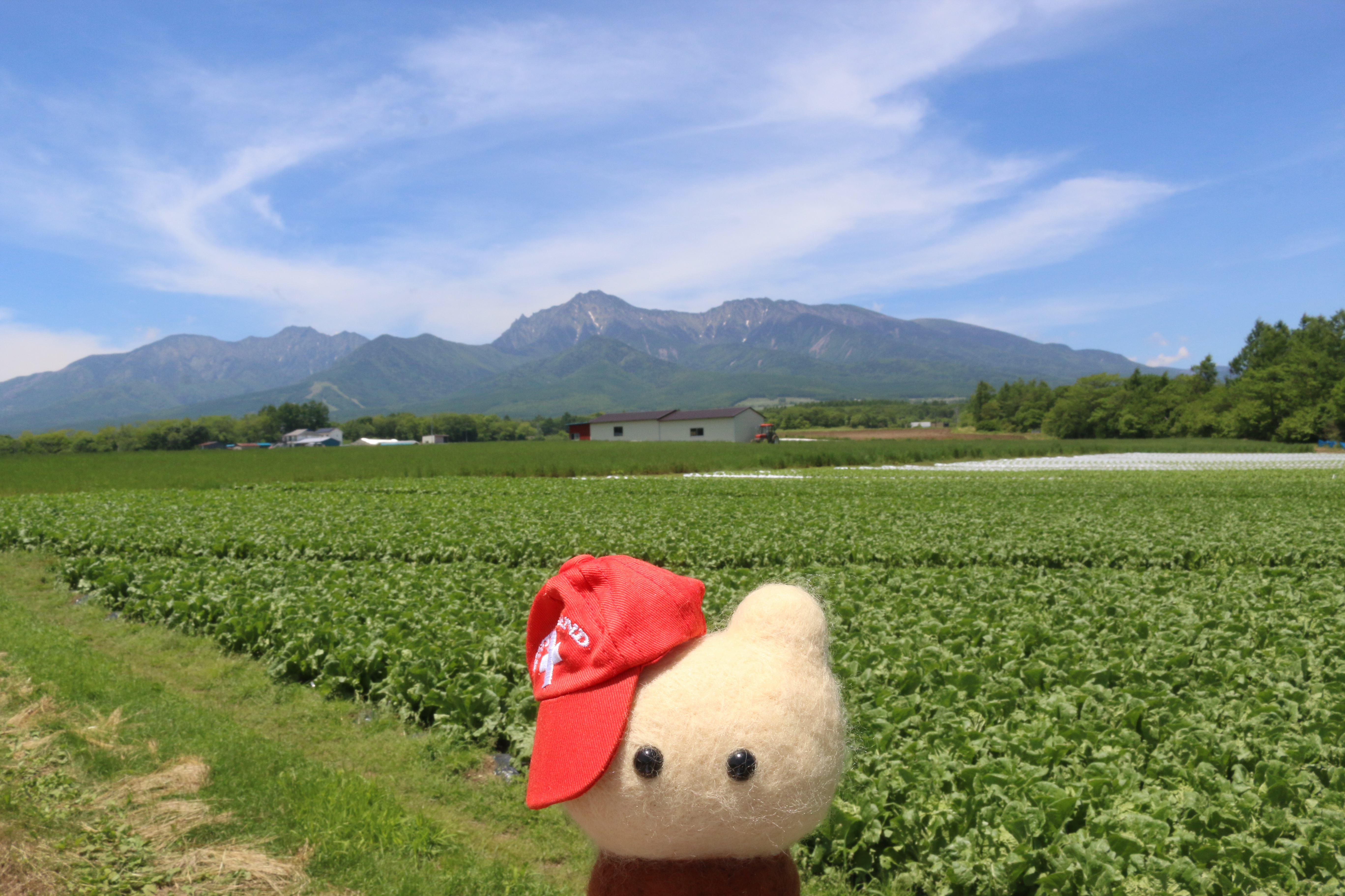 ��ӎR���������