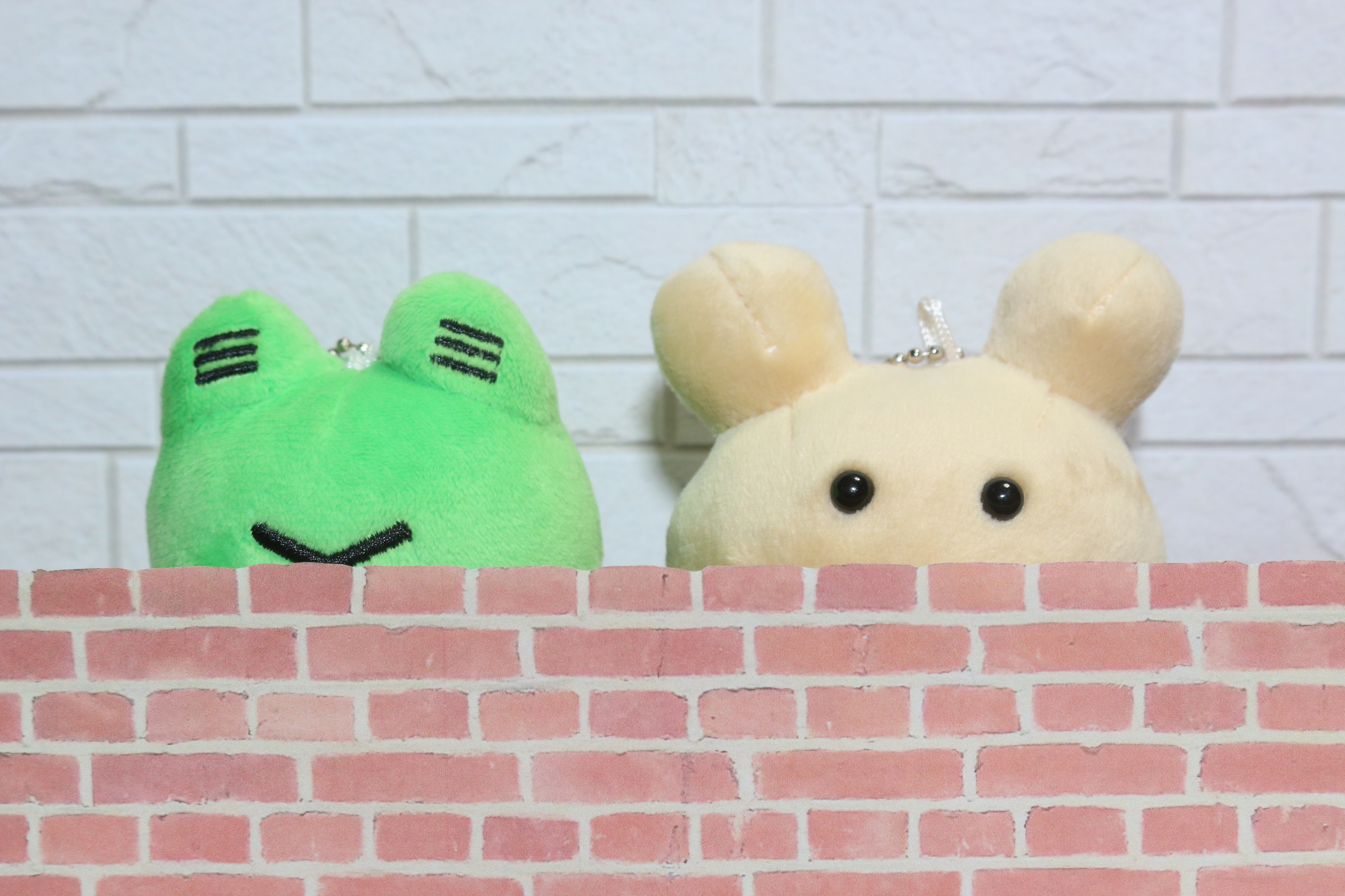 ���������P�����l�`