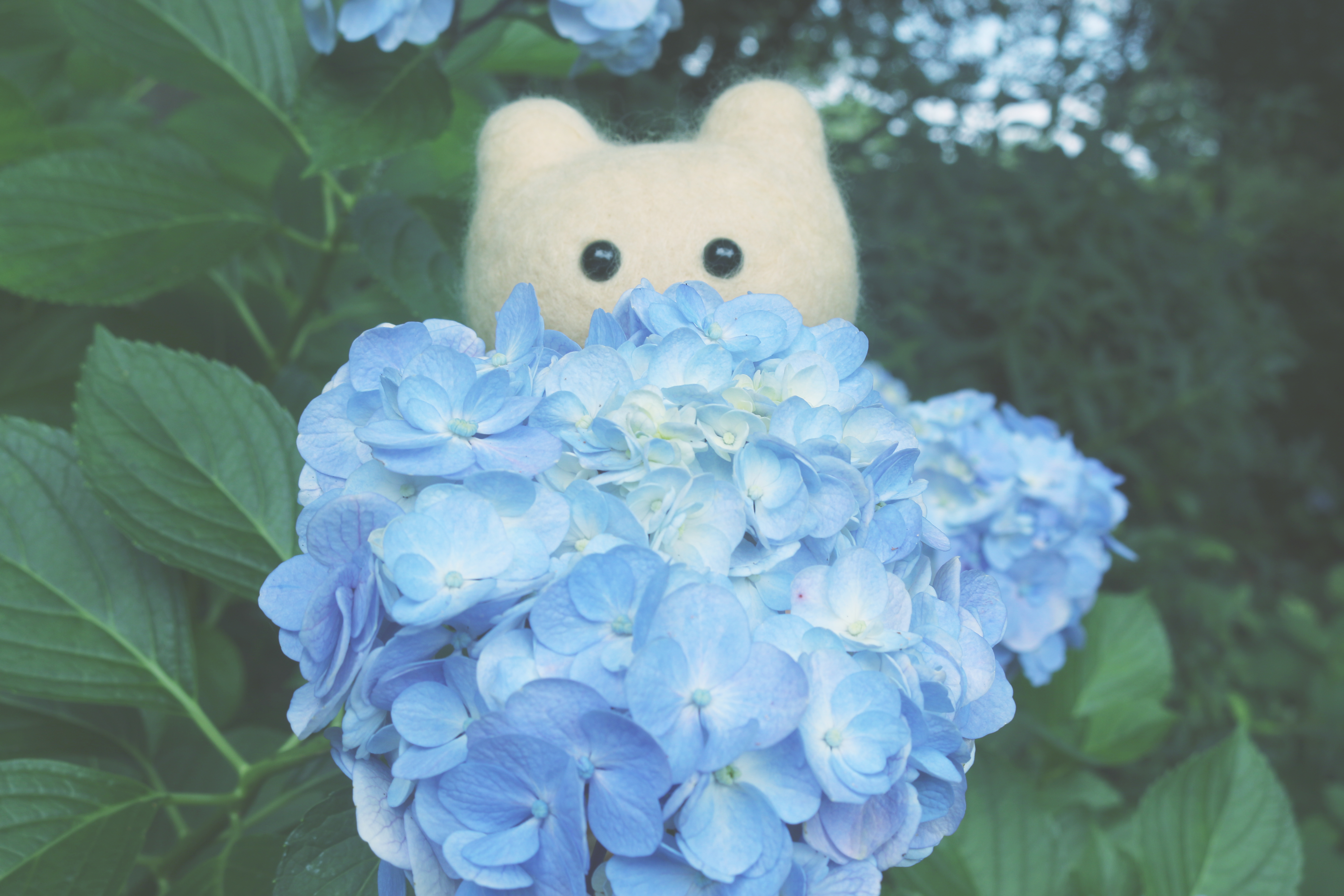 �A�W�T�C���������