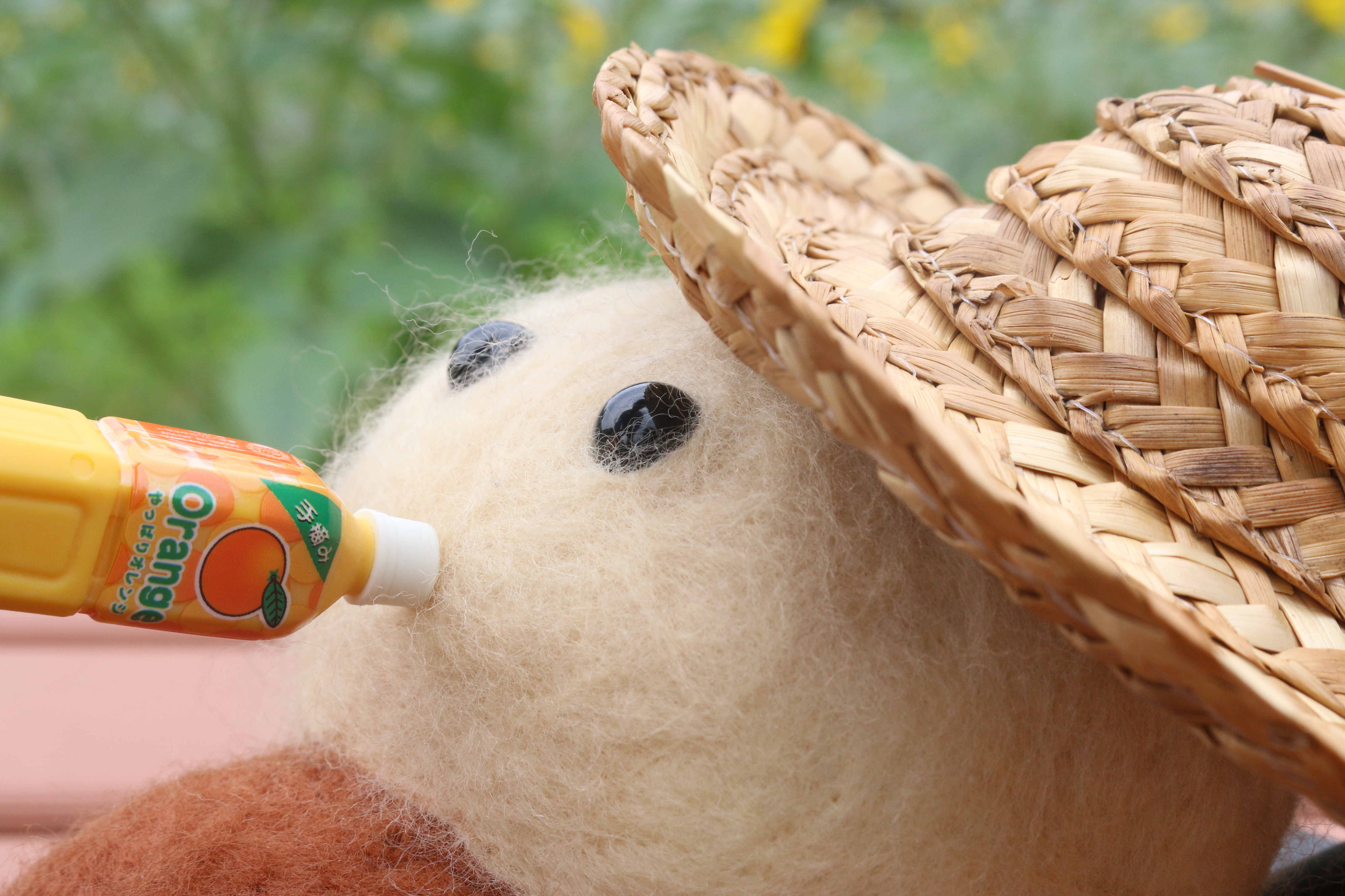 �Ђ܂�肩�������